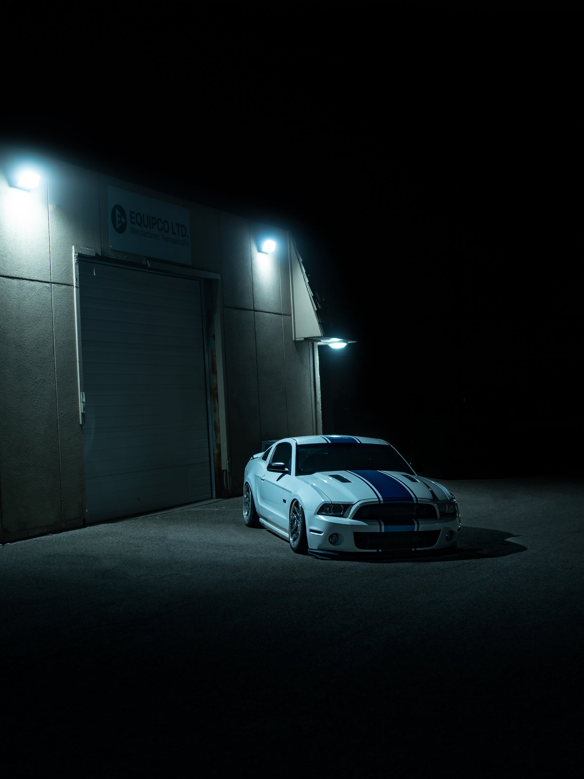Bagged Mustang Digital Poster